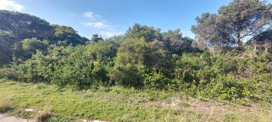 0 Bedroom Property for Sale in Paradise Beach Eastern Cape
